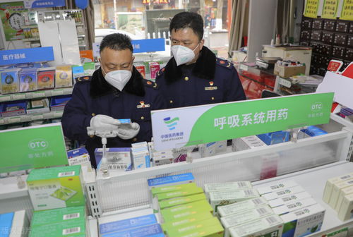 信息咨询服务 在信息洪流中导航的专业指南